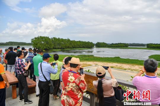 沙美村生态景观尽收眼底。　骆云飞 摄