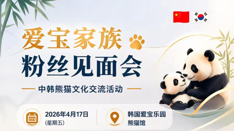 你好•熊猫